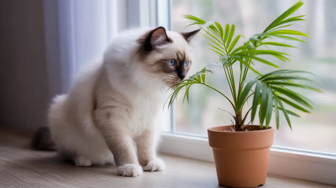 Neanthe Bella Palm and Cats: A Complete Safety Guide for Pet Owners