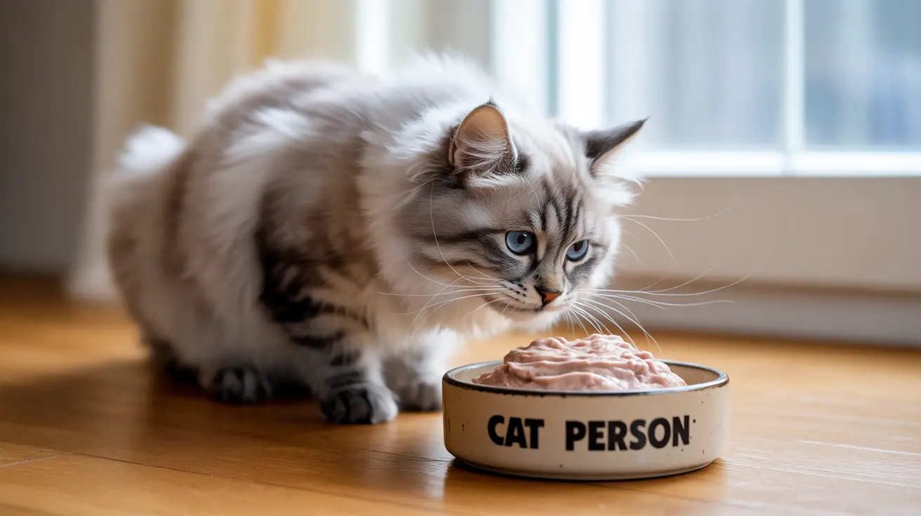 Conociendo la gama de productos de Cat Person