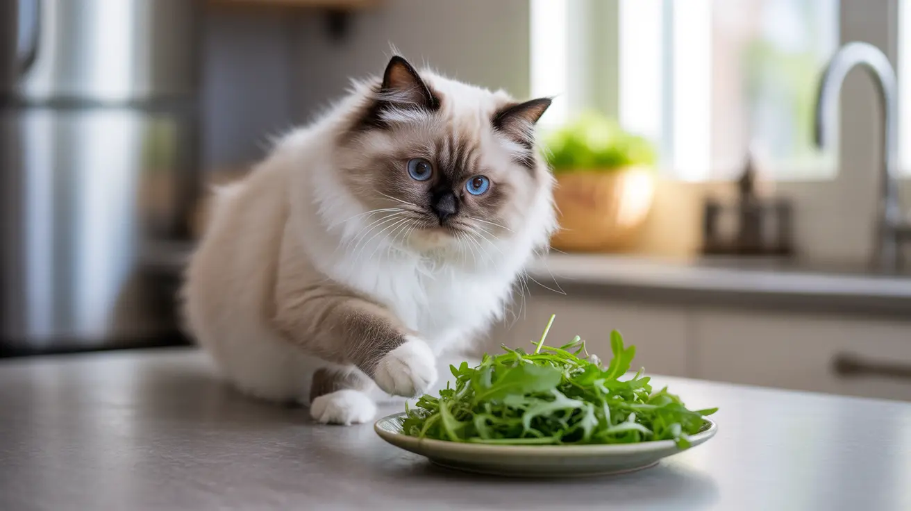 ¿Pueden los gatos comer rúcula? ¿Es segura la rúcula para gatos?