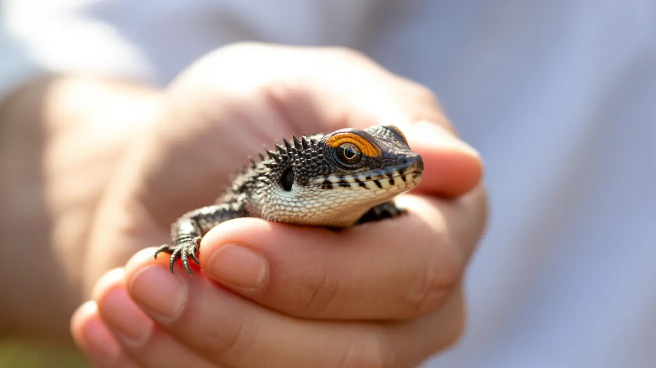 Cumbria Animal Sanctuary Urges Firework Restrictions After Tragic Losses