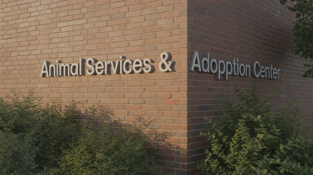 Sad dog inside an animal shelter kennel awaiting care