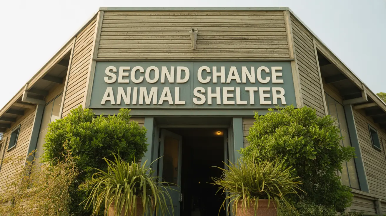 Second Chance Animal Services: Un refugio vital sin sacrificio en Massachusetts