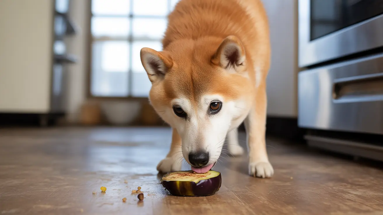 ¿Puede el perro comer berenjena? Beneficios, riesgos y cómo prepararla