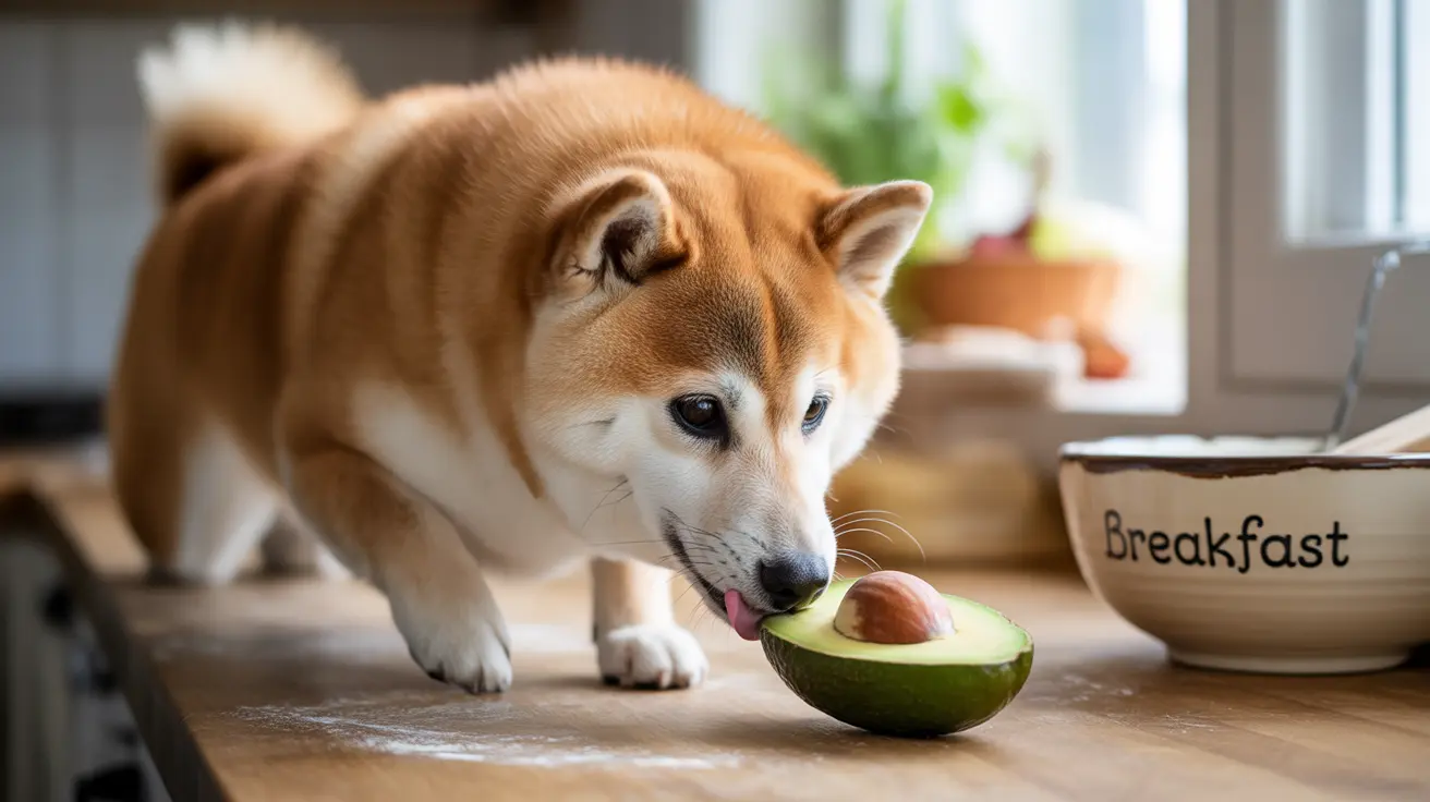 犬はアボカドを食べても大丈夫？ペットオーナーのための完全安全ガイド