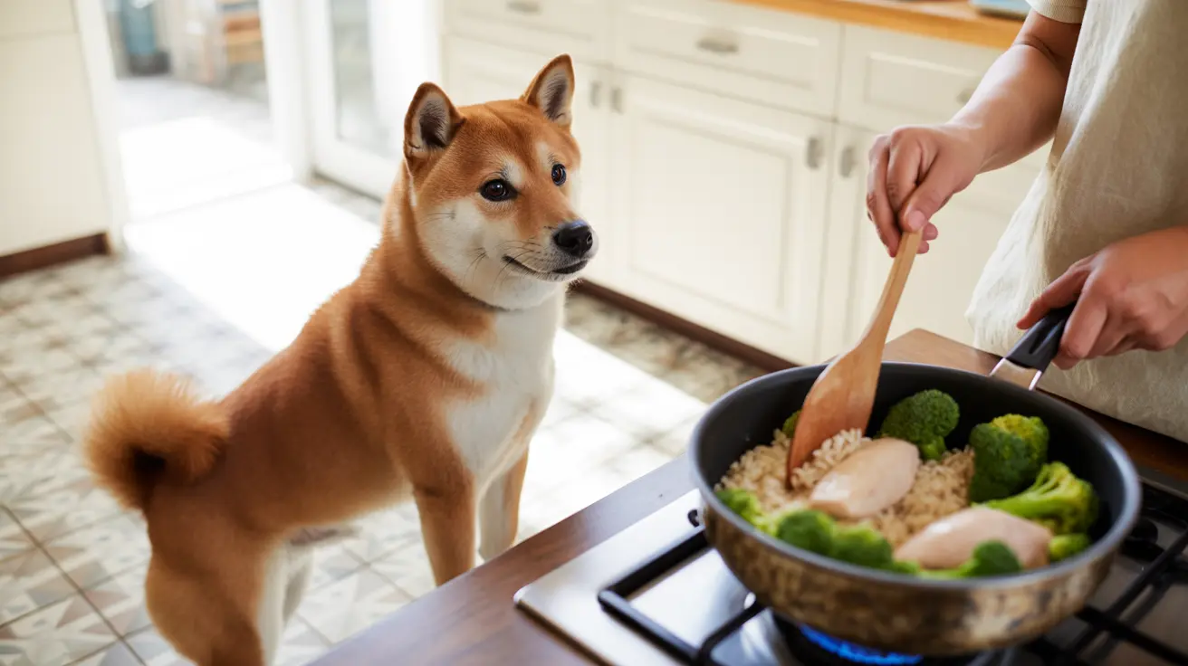 Healthy Dog Food Alternatives: A Complete Guide to Natural and Homemade Options