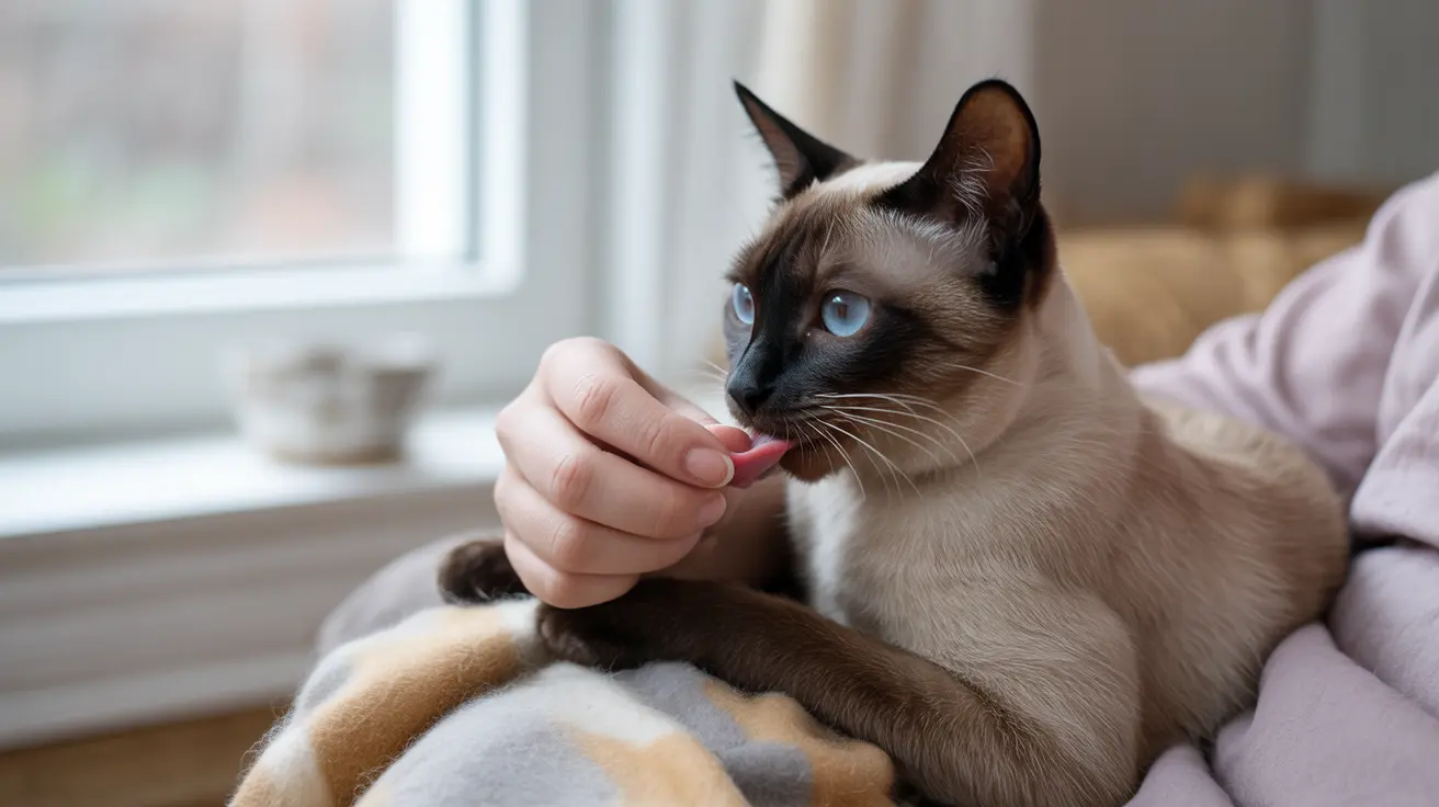 猫が飼い主を舐める理由とは？愛猫のグルーミング行動を徹底解説