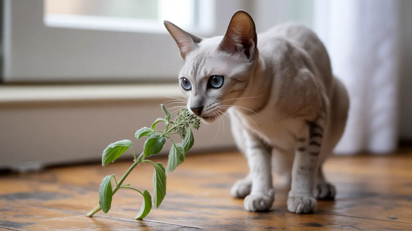 Does Catnip Help Cats with Nausea? A Veterinary Perspective