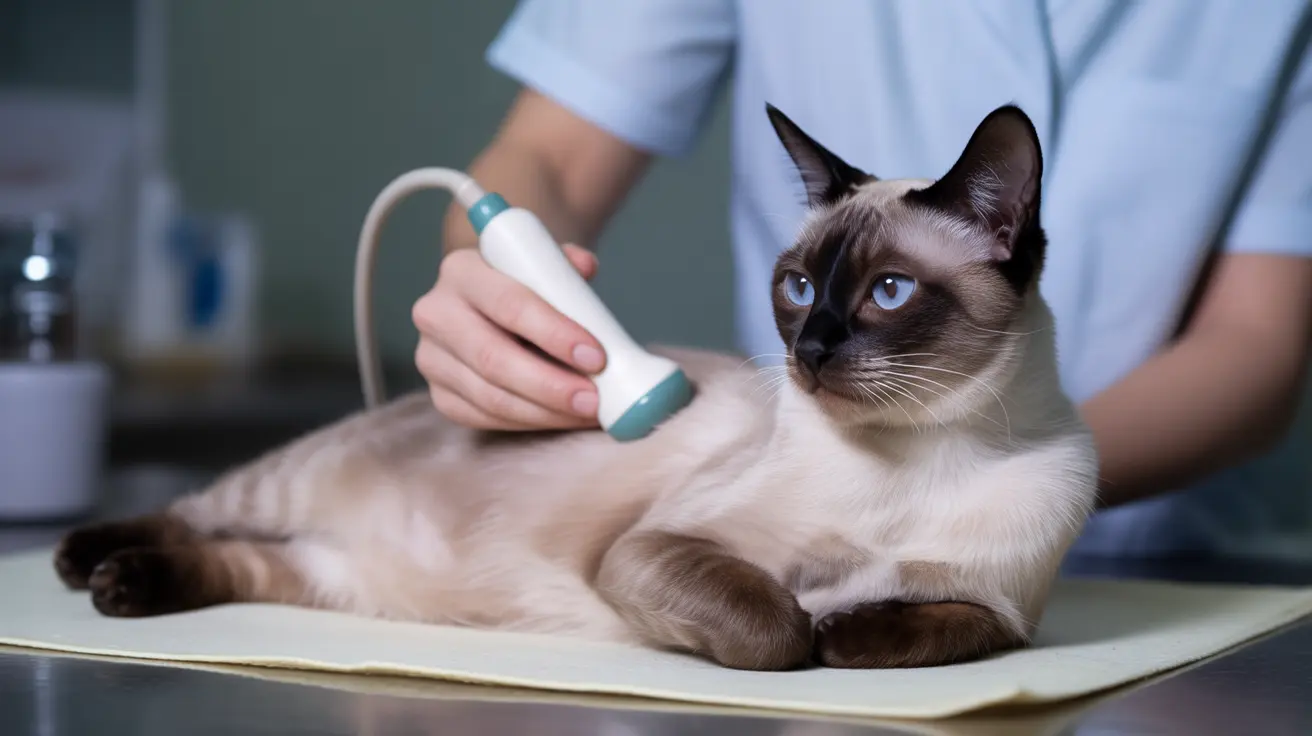 Understanding Pyloric Stenosis in Cats: Symptoms, Diagnosis, and Treatment Options