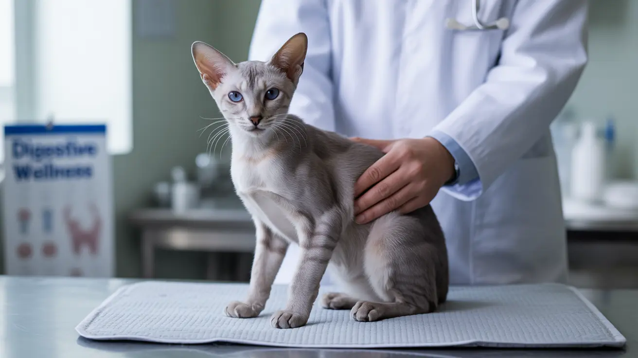 Senior Cat Diarrhea and Vomiting: A Complete Guide to Causes and Care