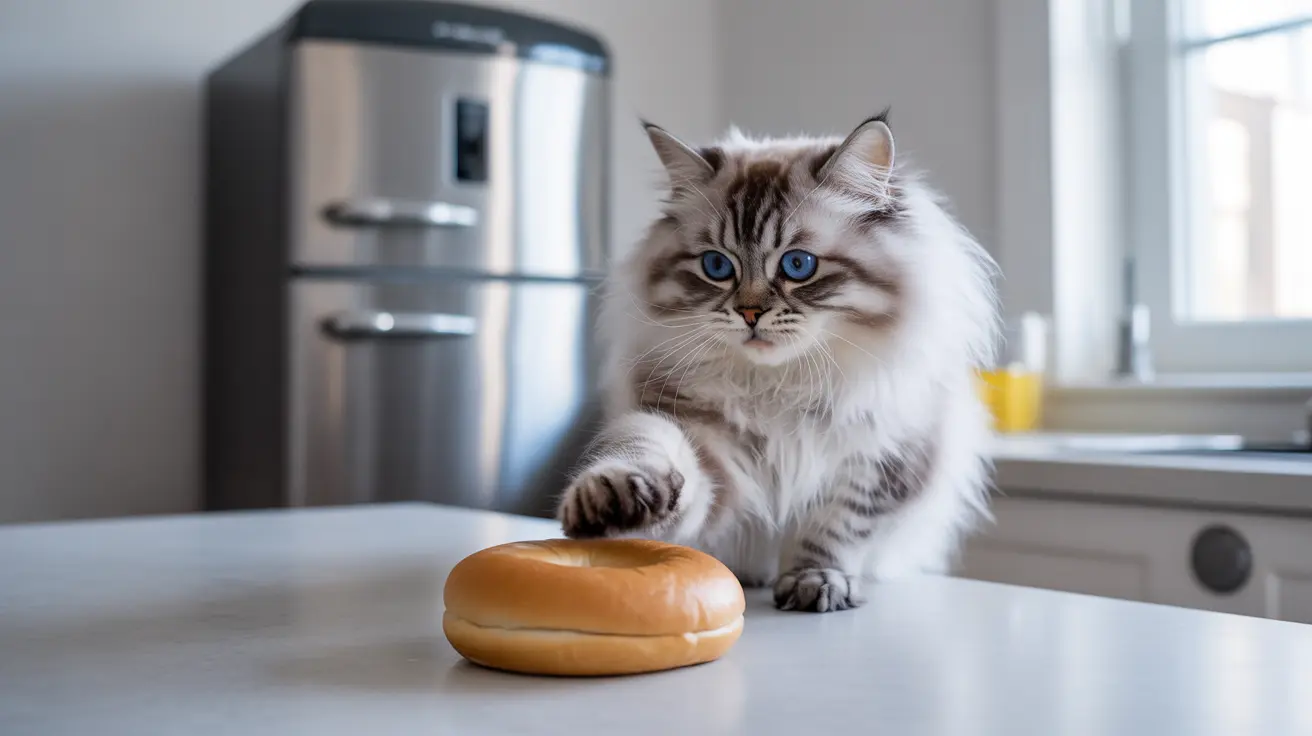 Can Cats Eat Bagels? A Complete Guide to Safety and Risks