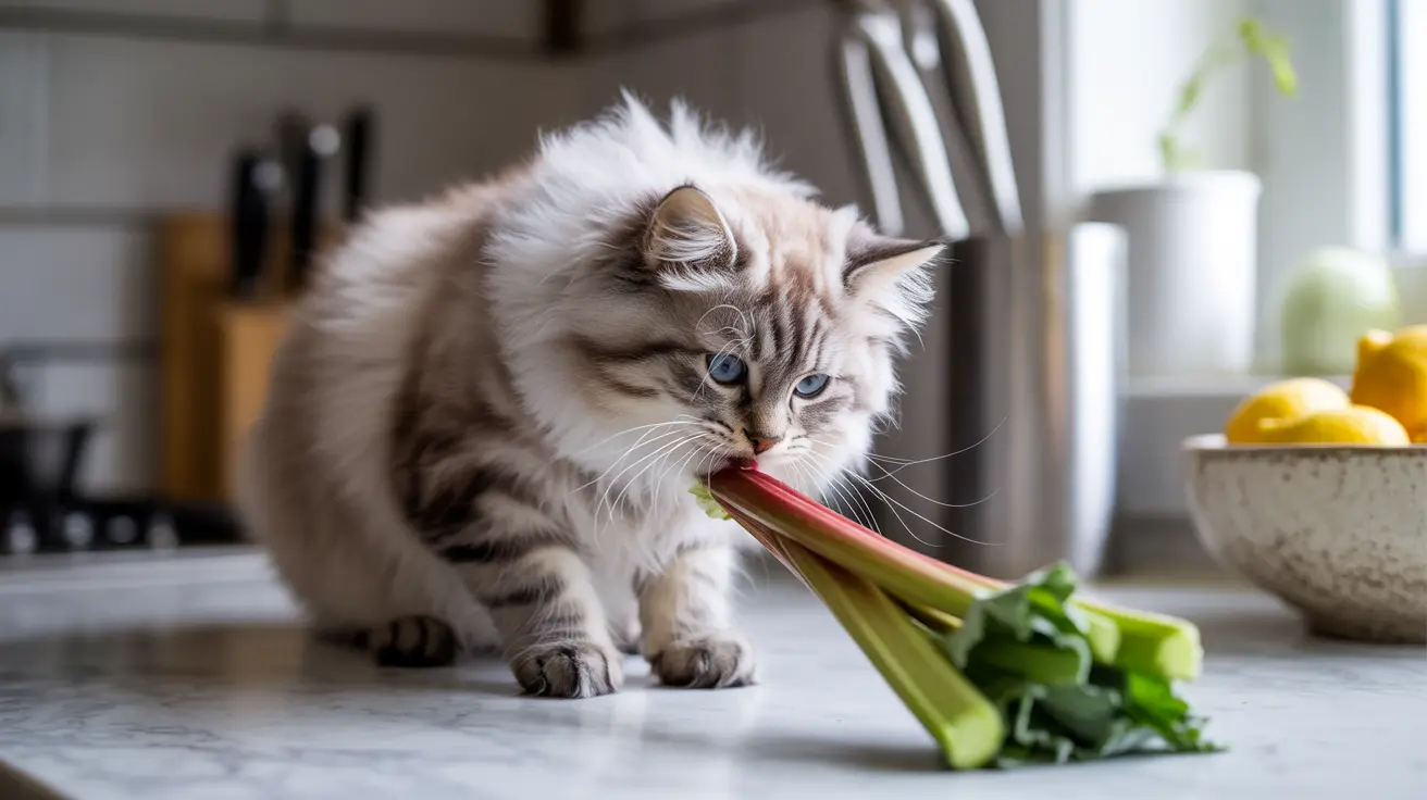 Is Rhubarb Poisonous to Cats? A Complete Guide to Rhubarb Toxicity in Felines