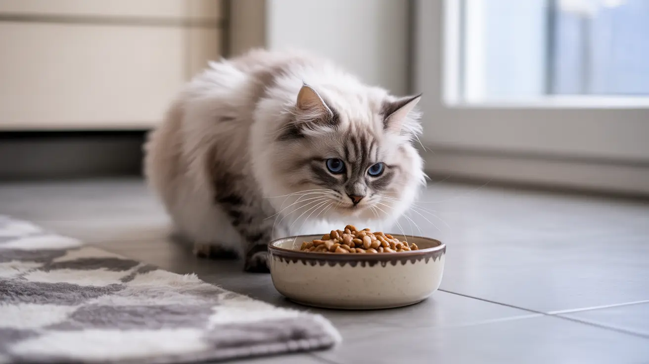 High Fiber Cat Food for Constipation: A Complete Feeding Guide