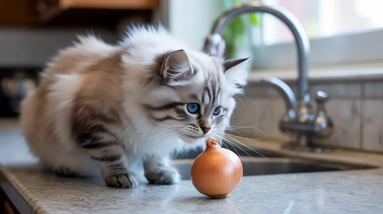 Comprendre les dangers de l'oignon pour les chats