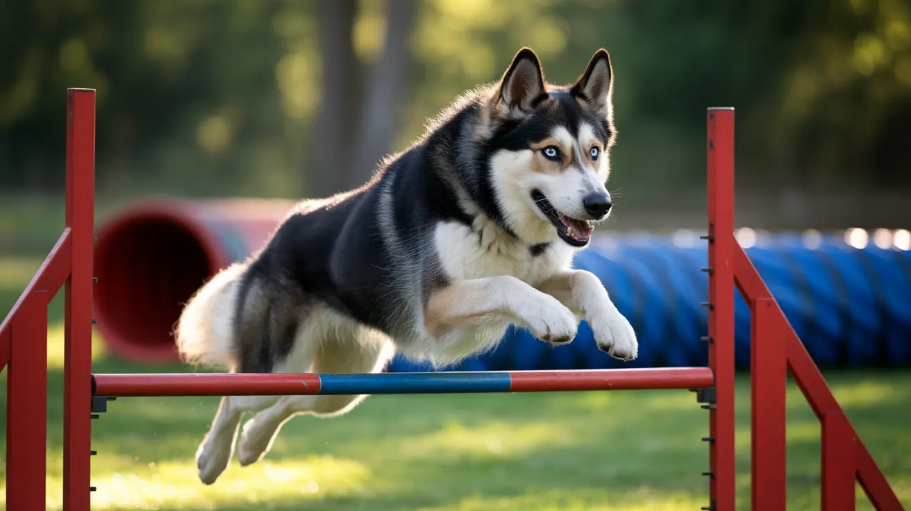 ハスキーとジャーマンシェパードのミックス犬：魅力あふれるシェプスキーの完全ガイド