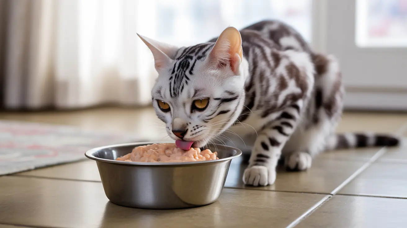 Stomatitis in Cats: A Comprehensive Guide to Symptoms, Causes, and Treatment