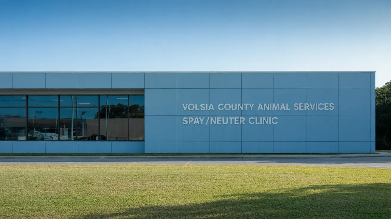 Florida Animal Services Address Concerns Over Loose Dogs in Ormond-by-the-Sea