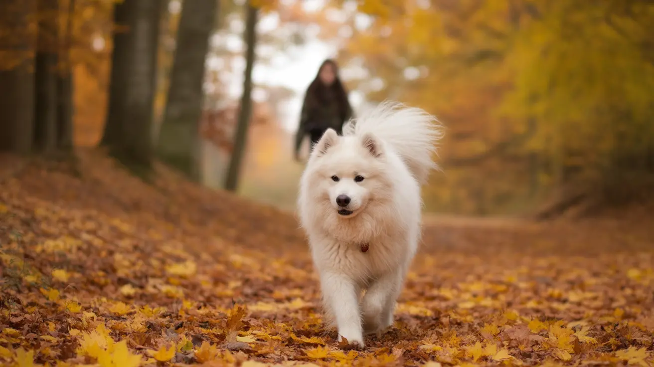 Suspensión de beneficios SNAP empuja a dueños de mascotas a considerar darlas en adopción por dificultades económicas