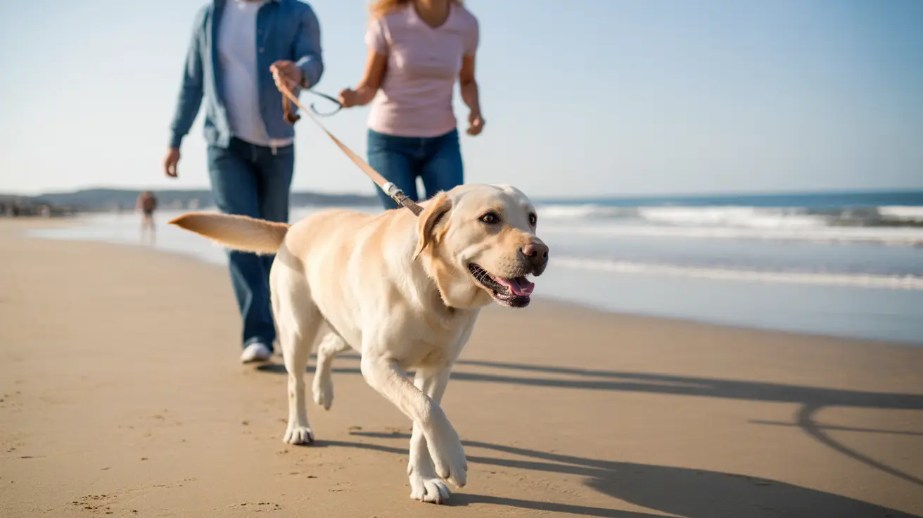A dog looking thoughtfully as seen through a cinematic camera lens